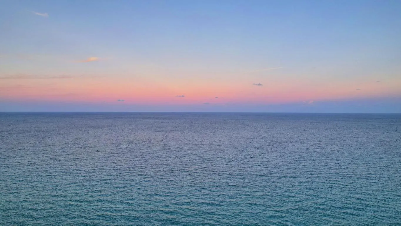 Oceanview from drone