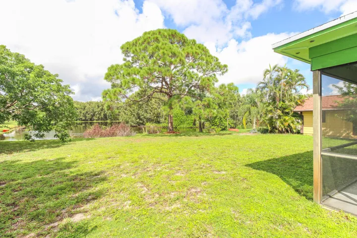 Back Yard-Left