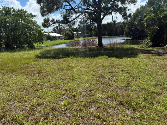 Beautiful Back Yard