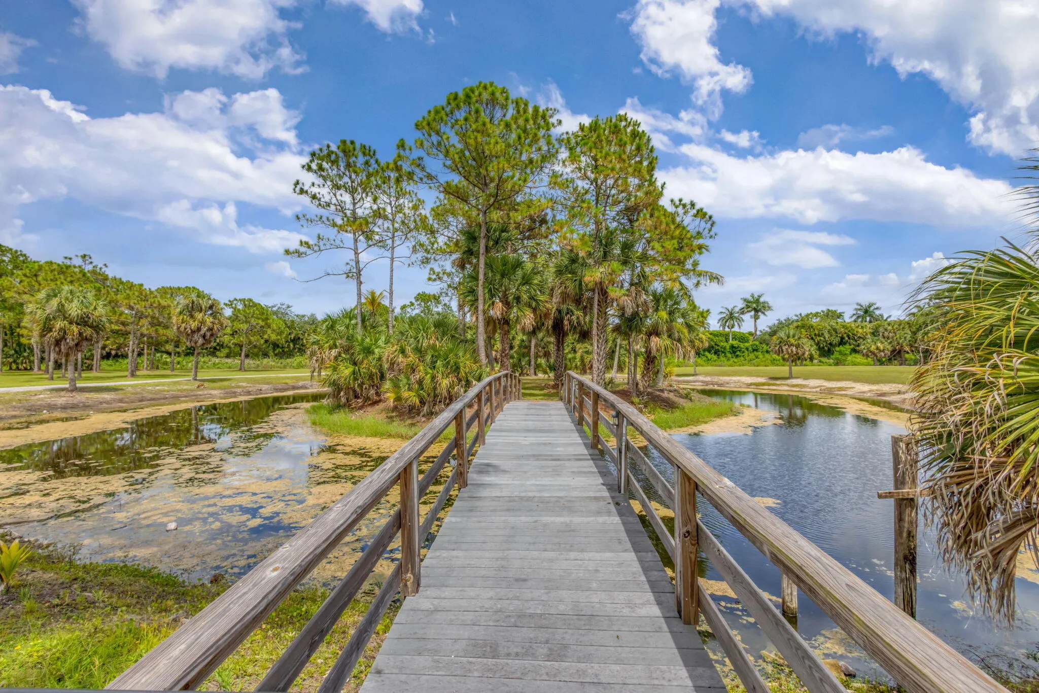 BRIDGE OVER THE TURTLE POND