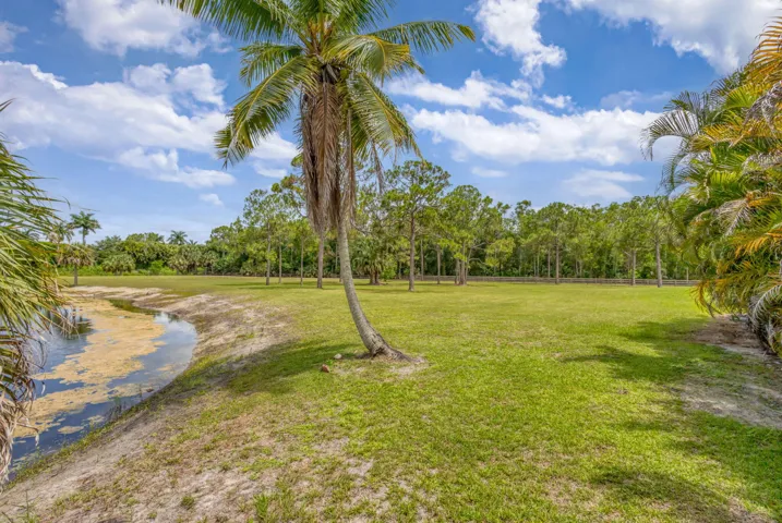 POND VIEW