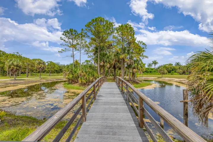 BRIDGE OVER THE TURTLE POND