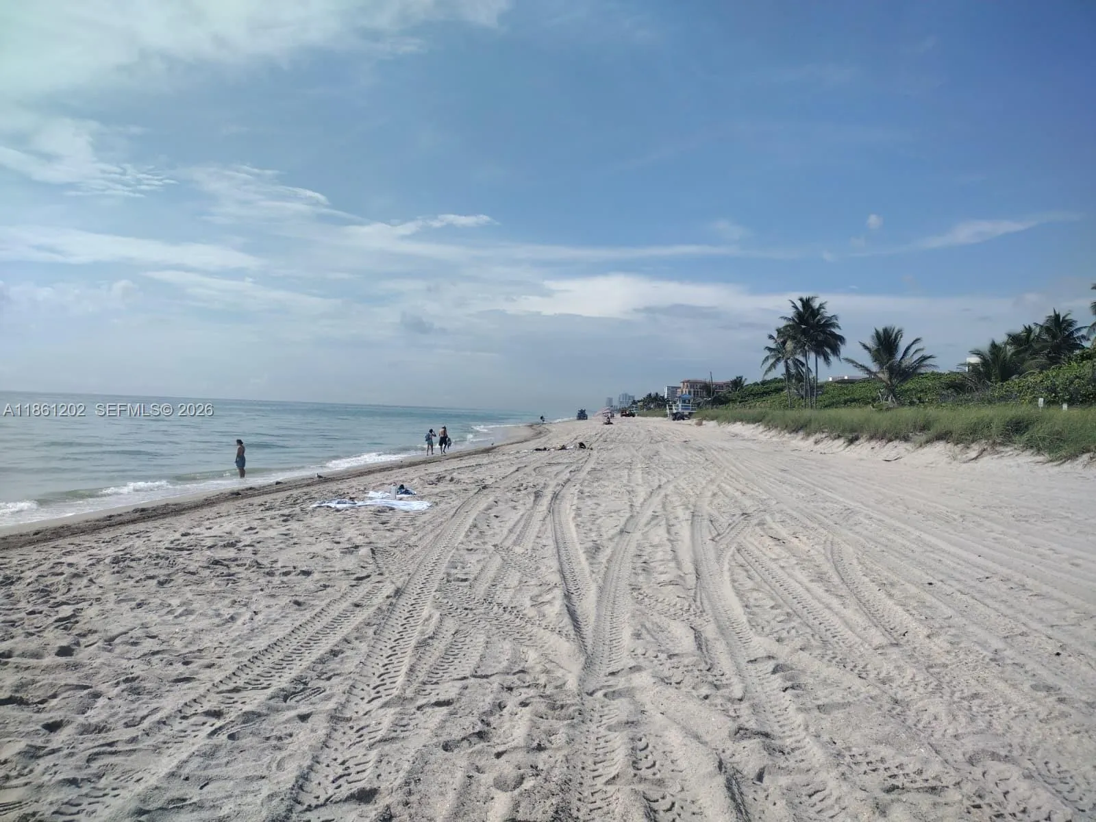 Hollywood beaches
