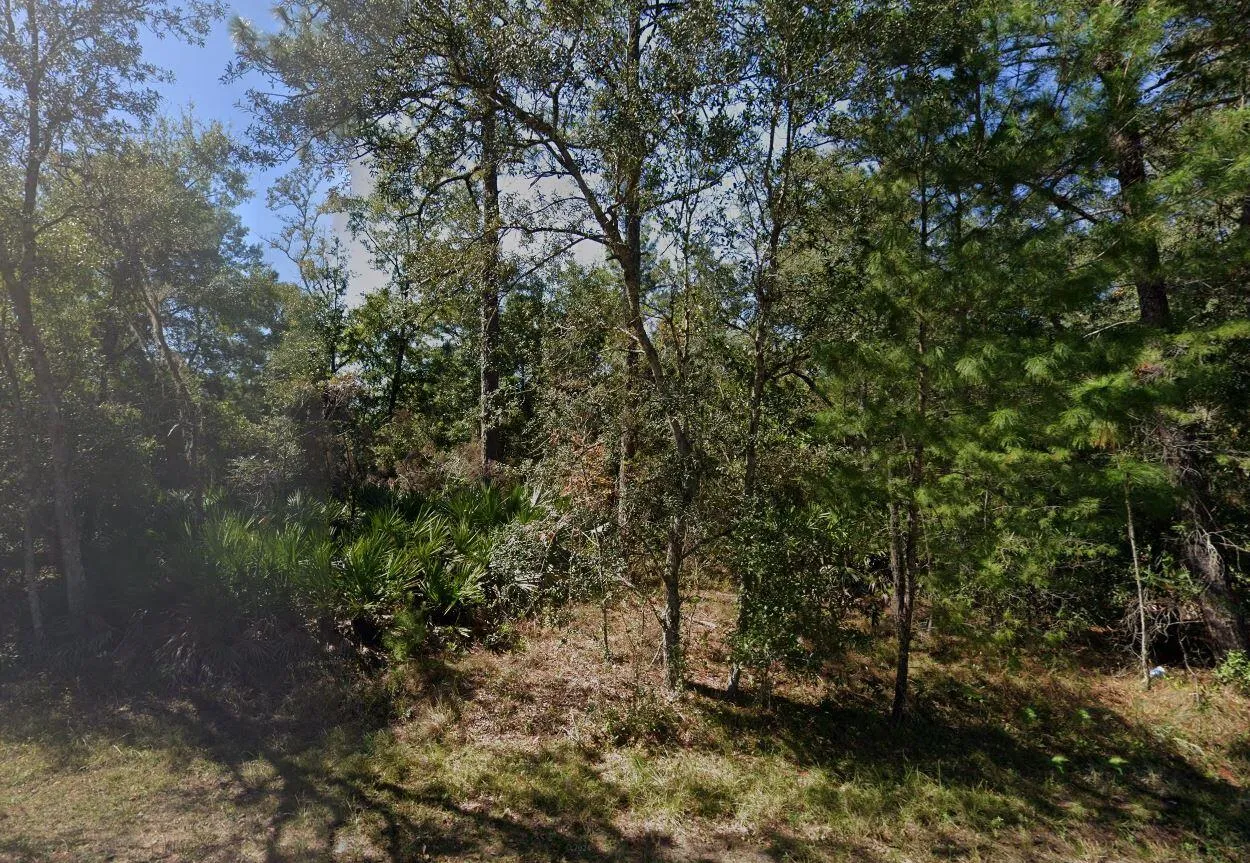Property photo 7