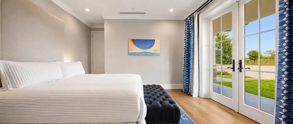 Bright serene modern Guestroom