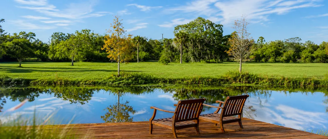 Serene reflective pond