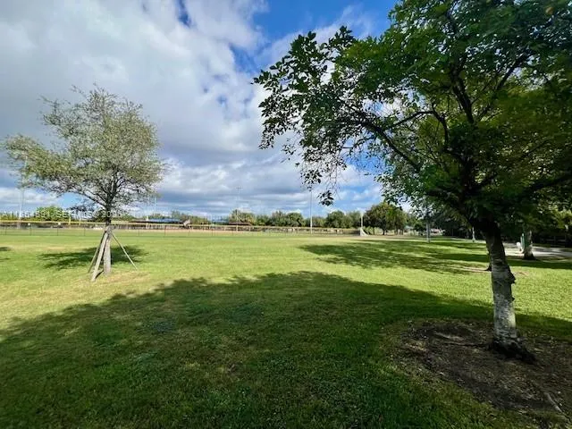 Property photo 267