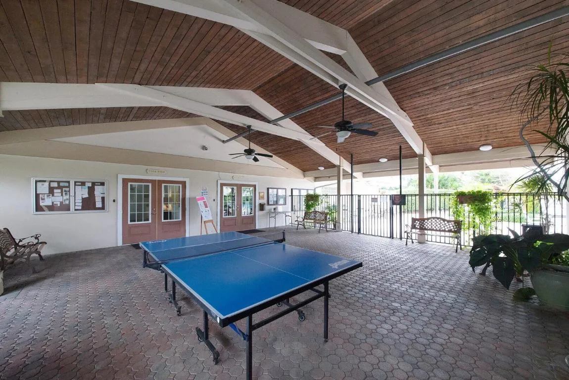 Ping Pong