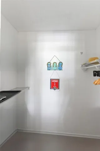 Guest Walk in Closet