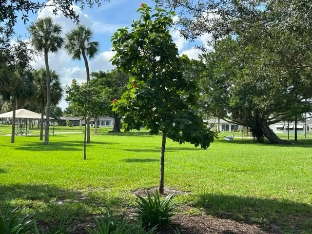 PARK NEXT DOOR