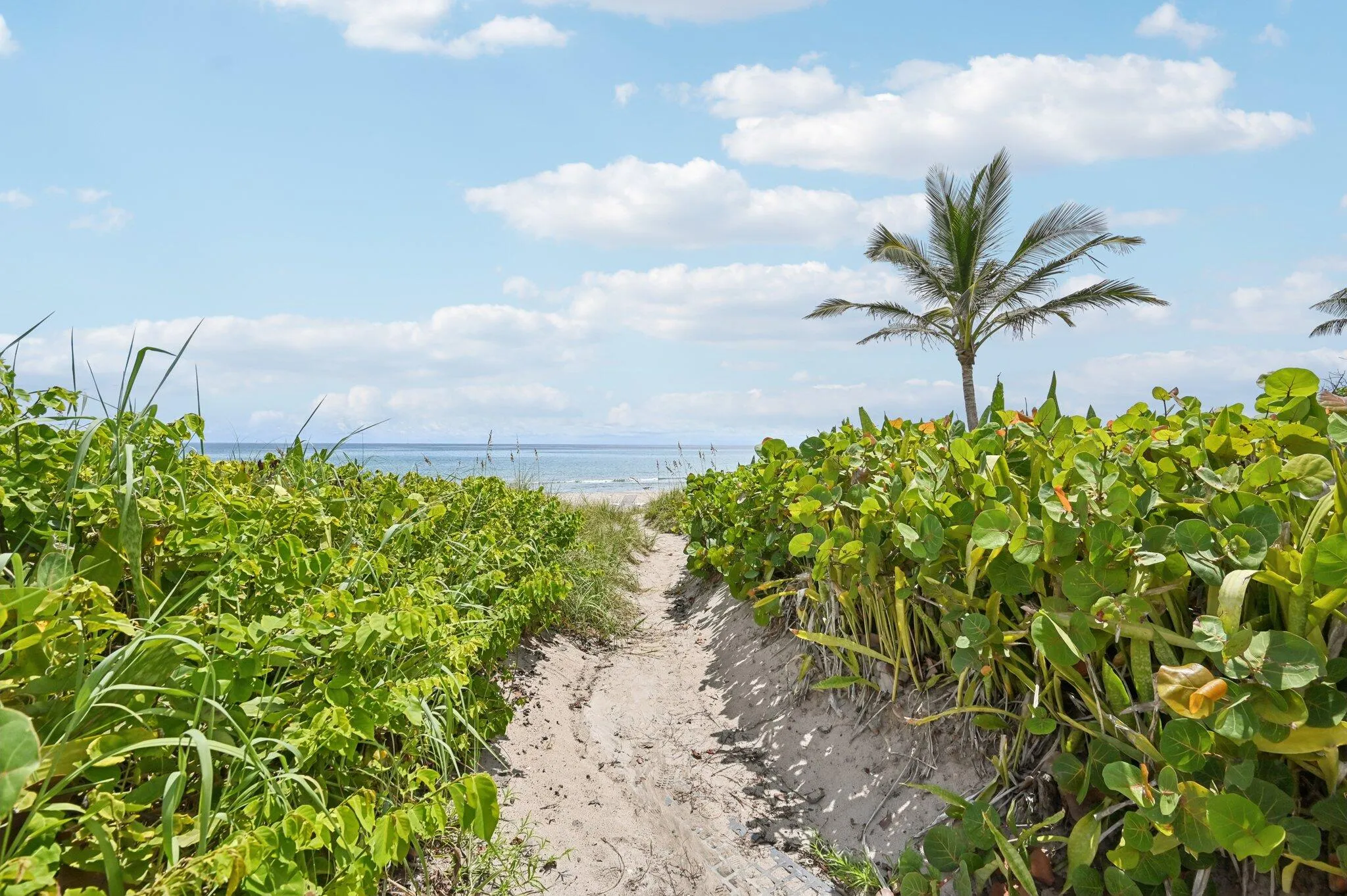 Path to Deeded Beach Access