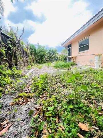 back yard
