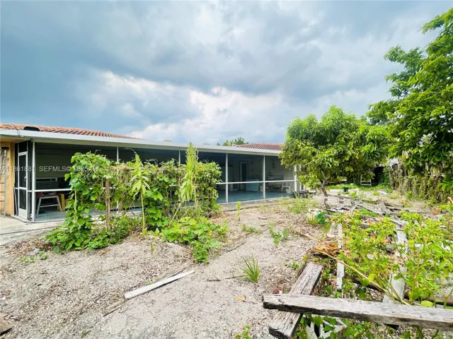 back yard