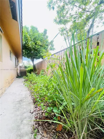 back yard