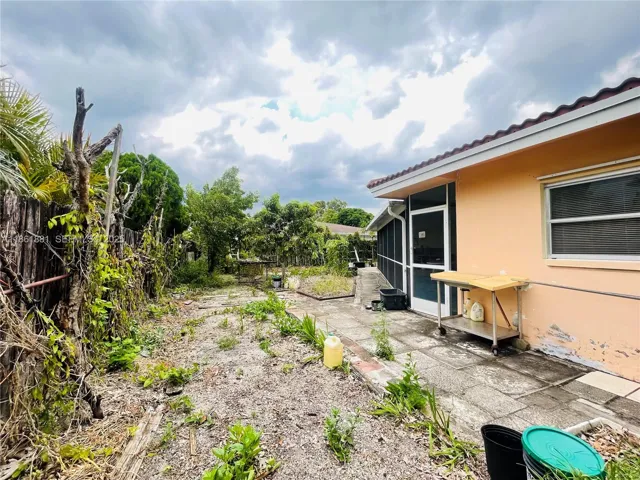 back yard