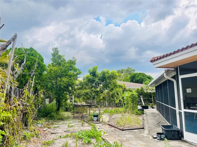 back yard