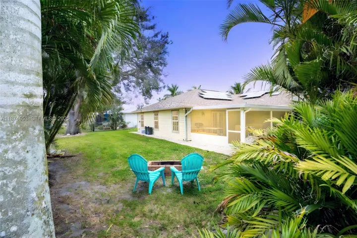 Back yard