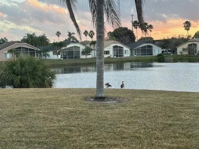 Water View