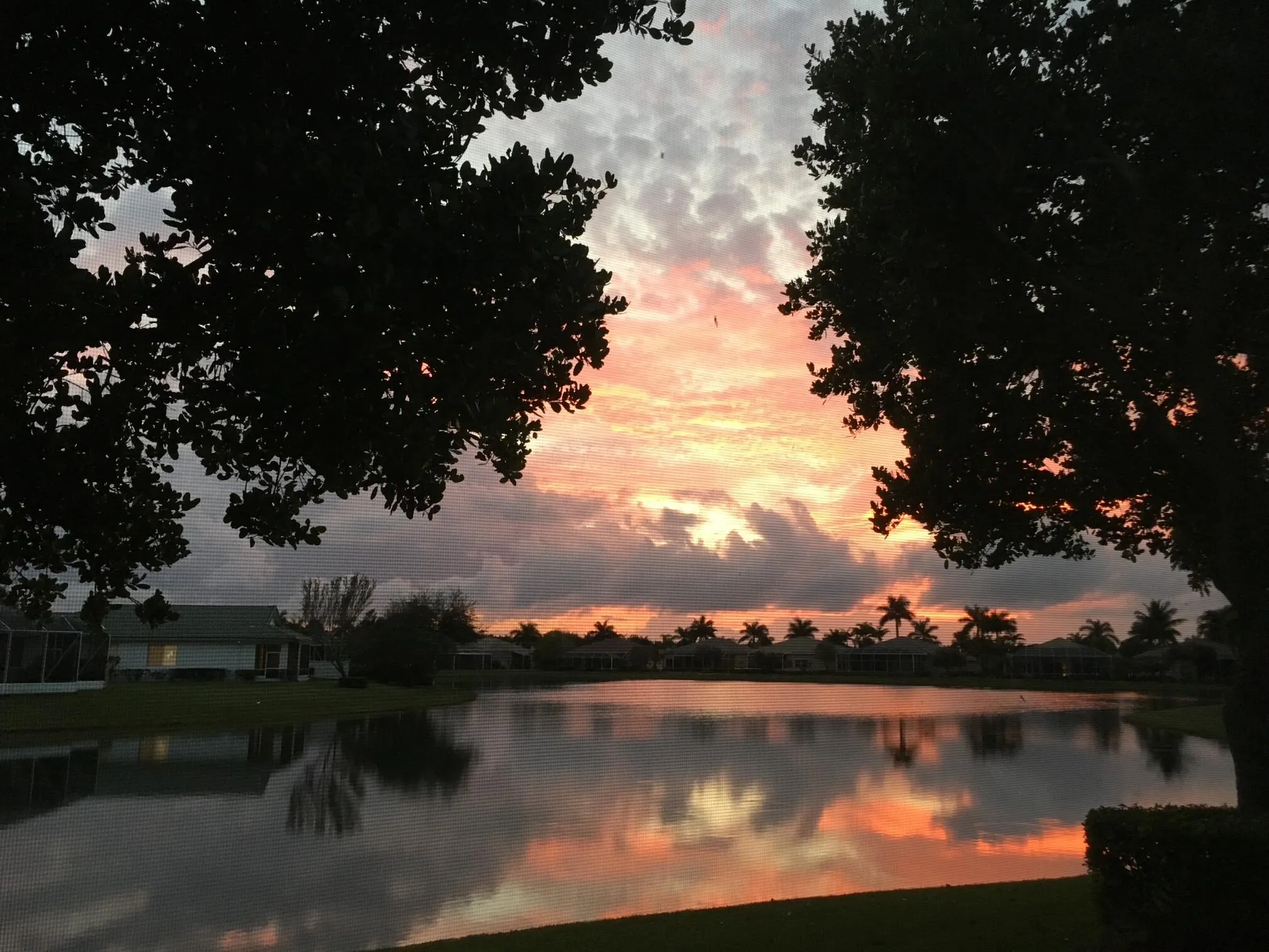 Heron Cove Sunset