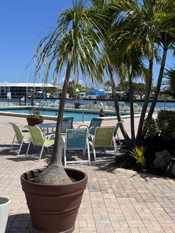 Heated Pool and deck area