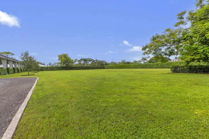 lawn and grass field
