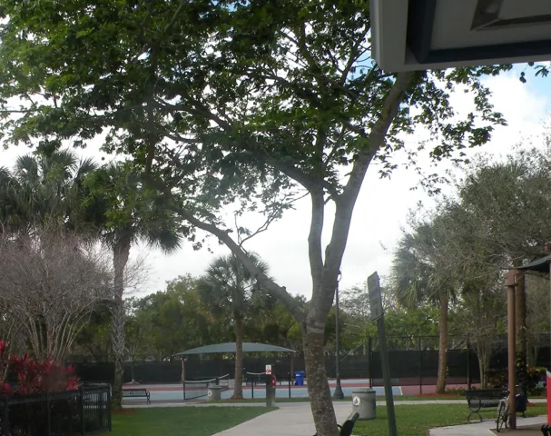 Photo 36