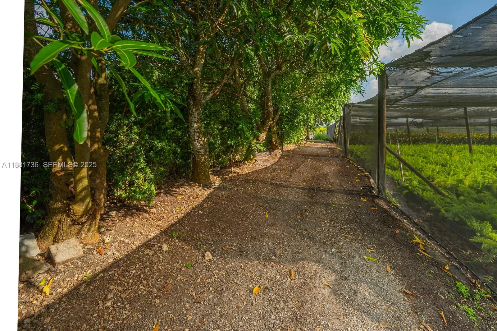 Property photo 46