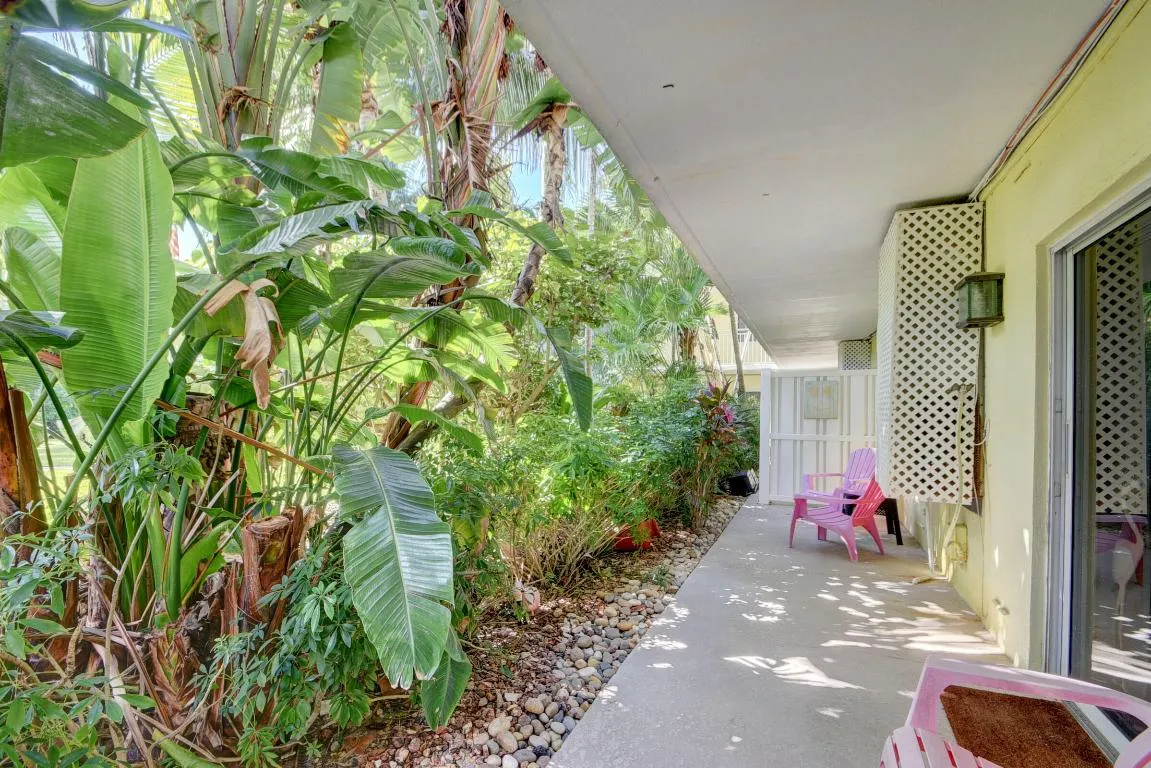 Patio
