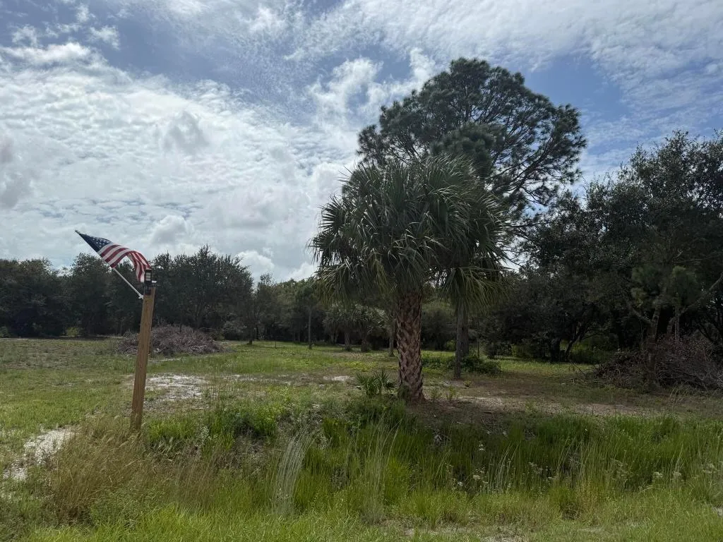 Property photo 12