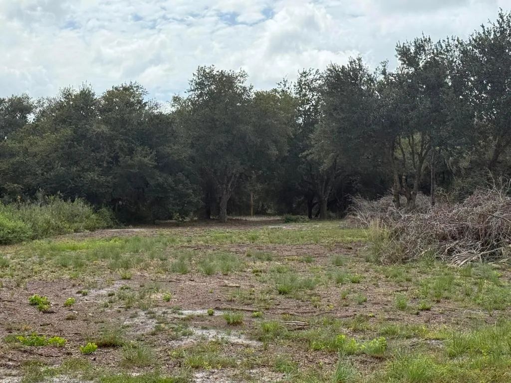 Property photo 15