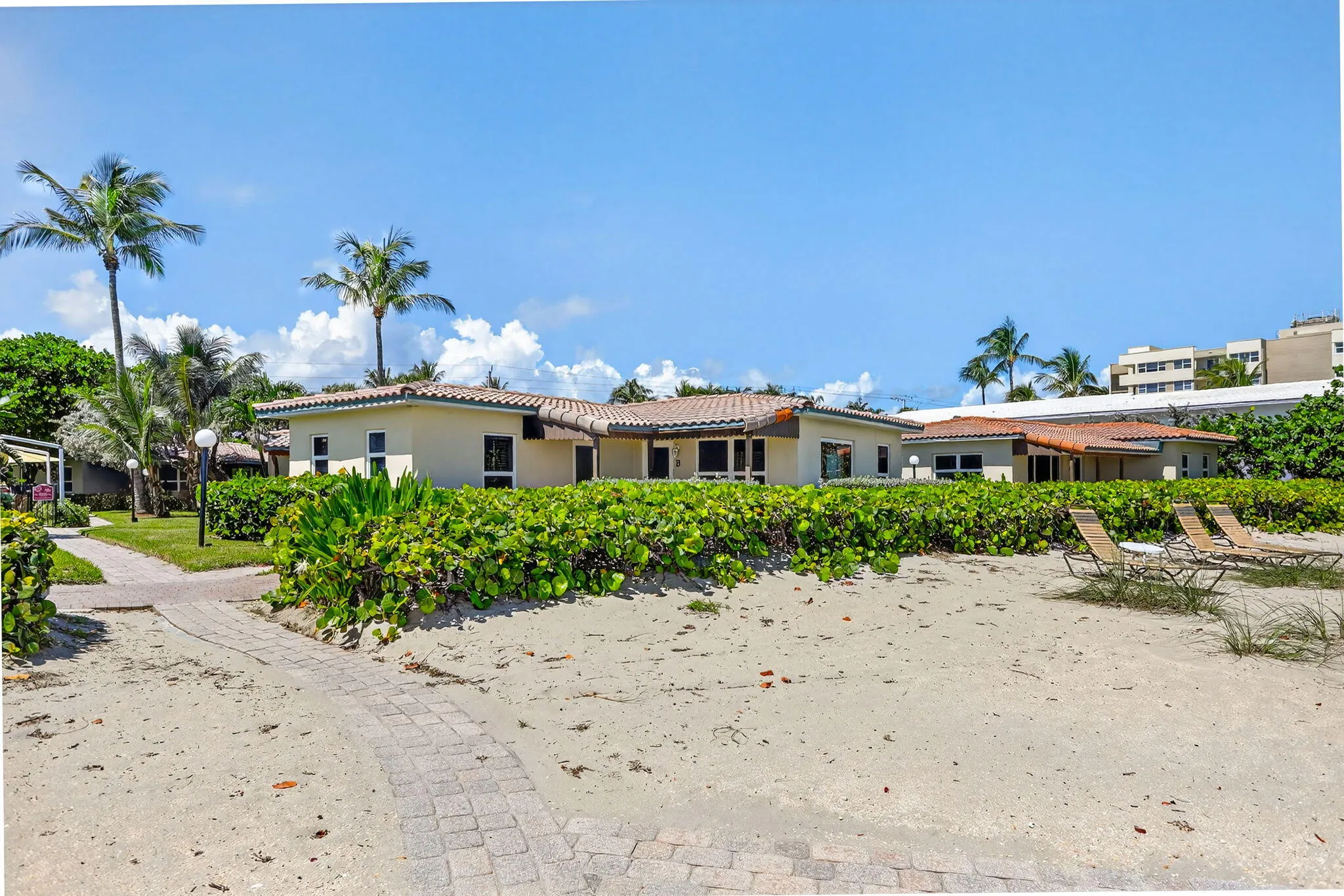 Upper beach