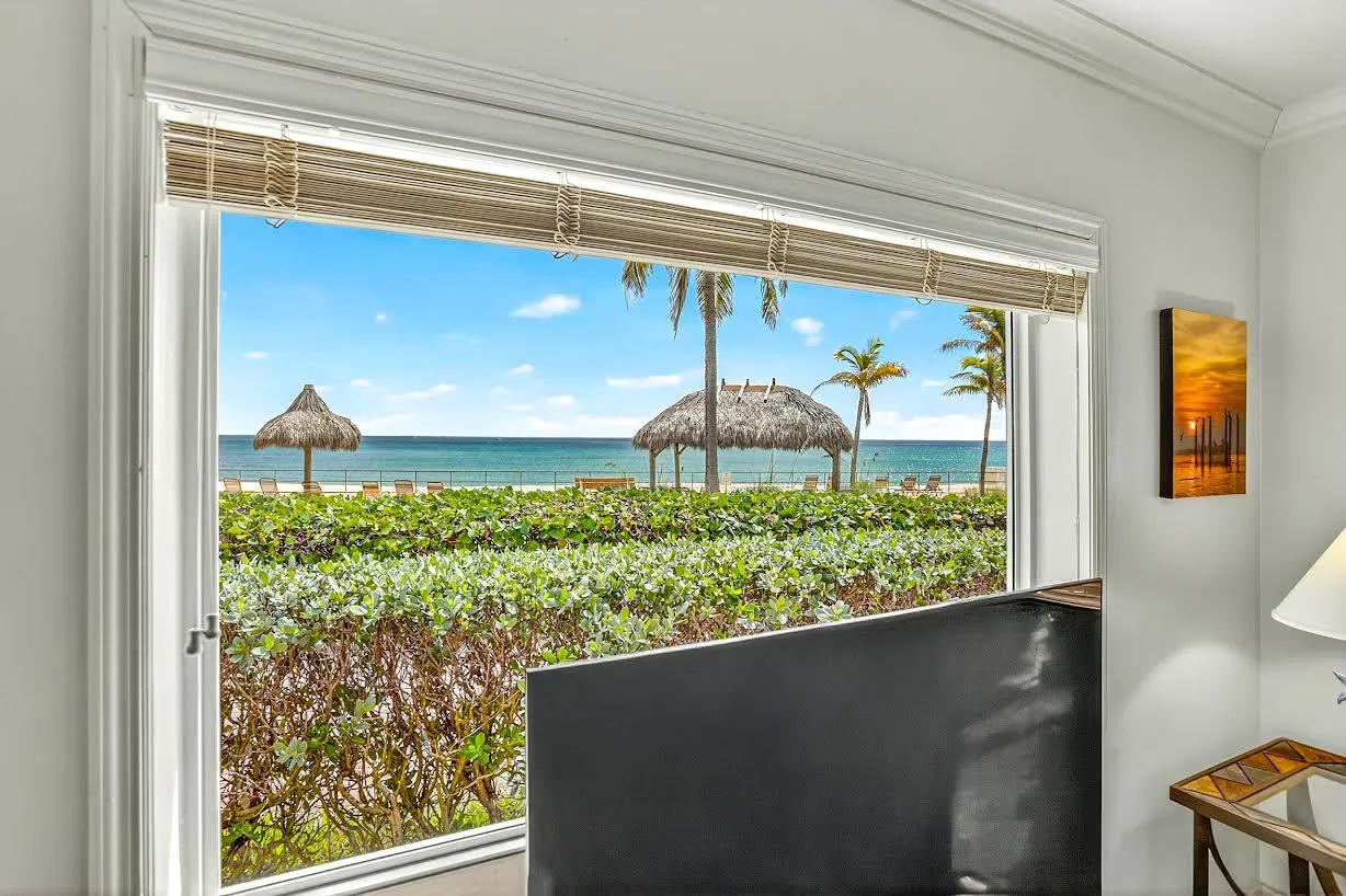 Living room window