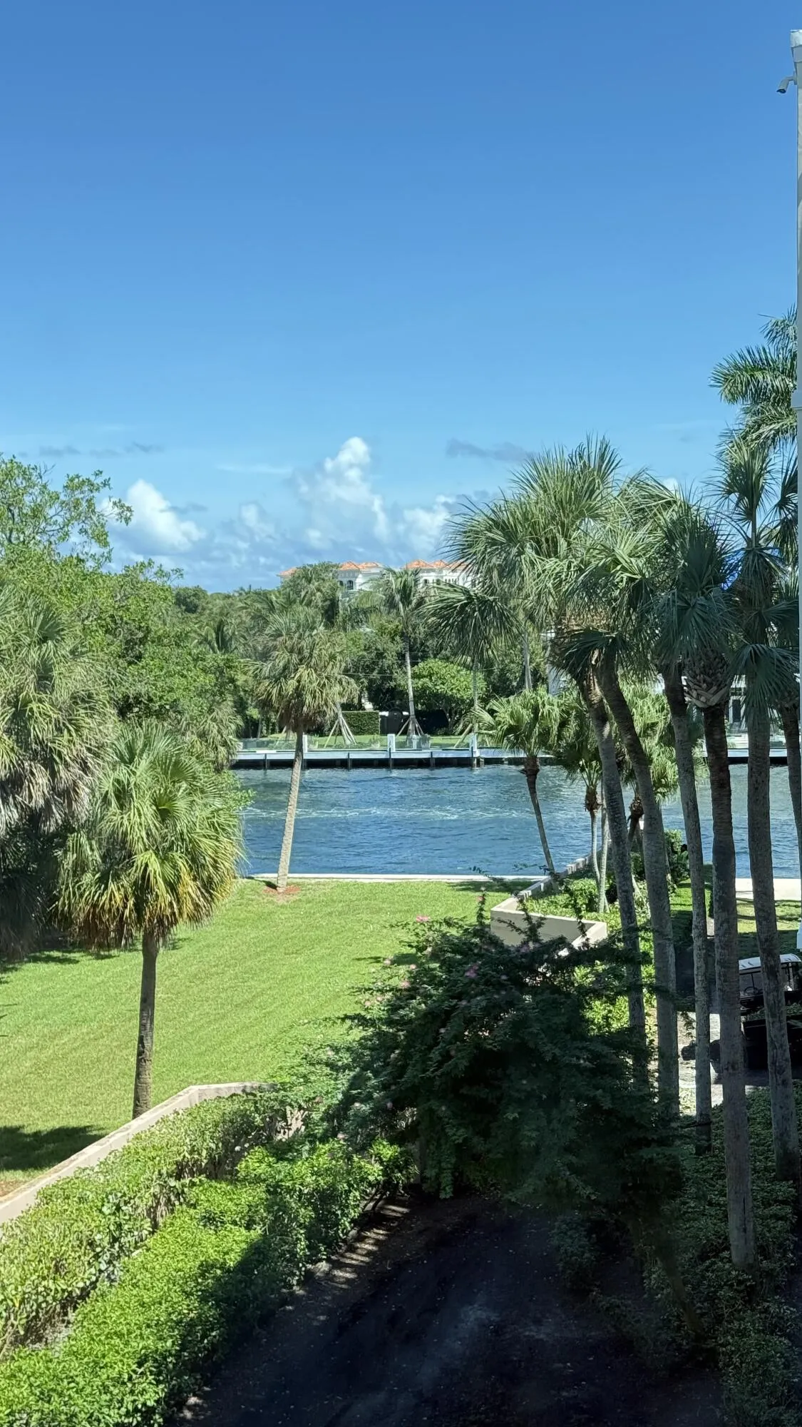 View from the tv room