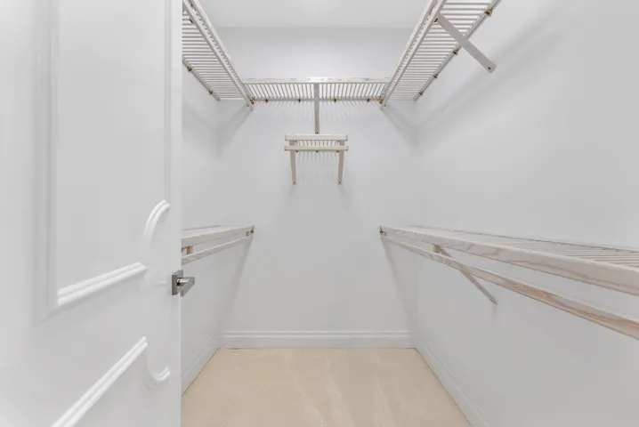 Primary Suite - Walk-in Closet #2