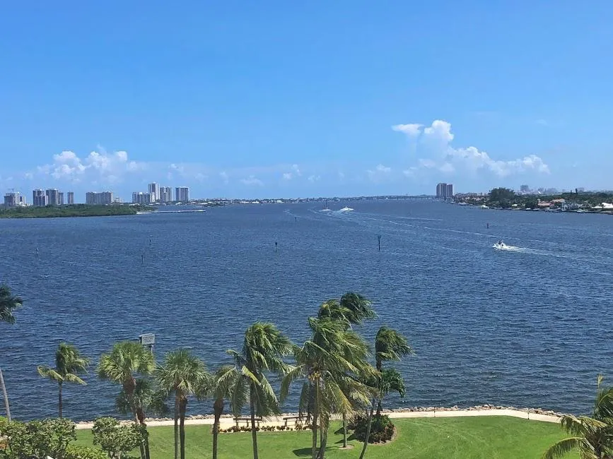 View from Unit