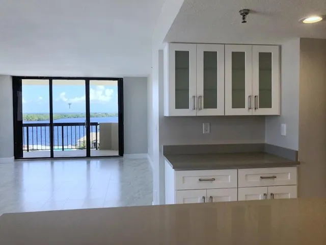 Bar and Living Room