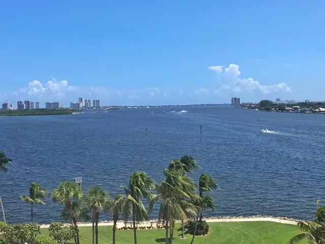View from Unit
