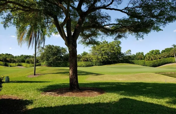 Golf Course & Lake View