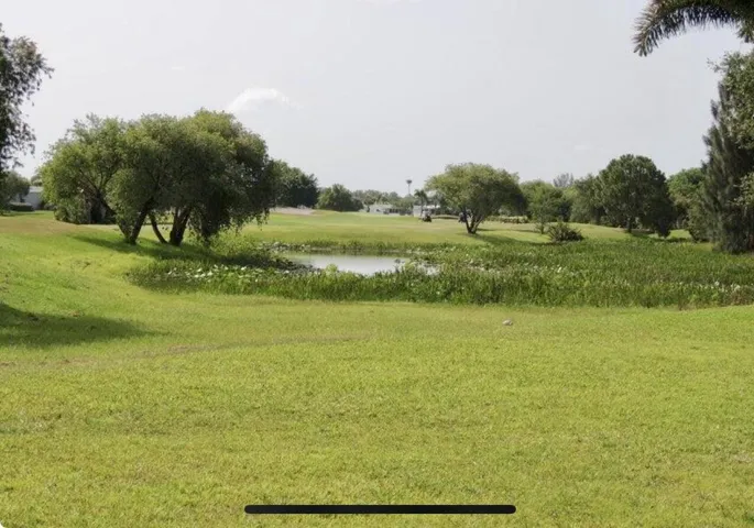 Pond view