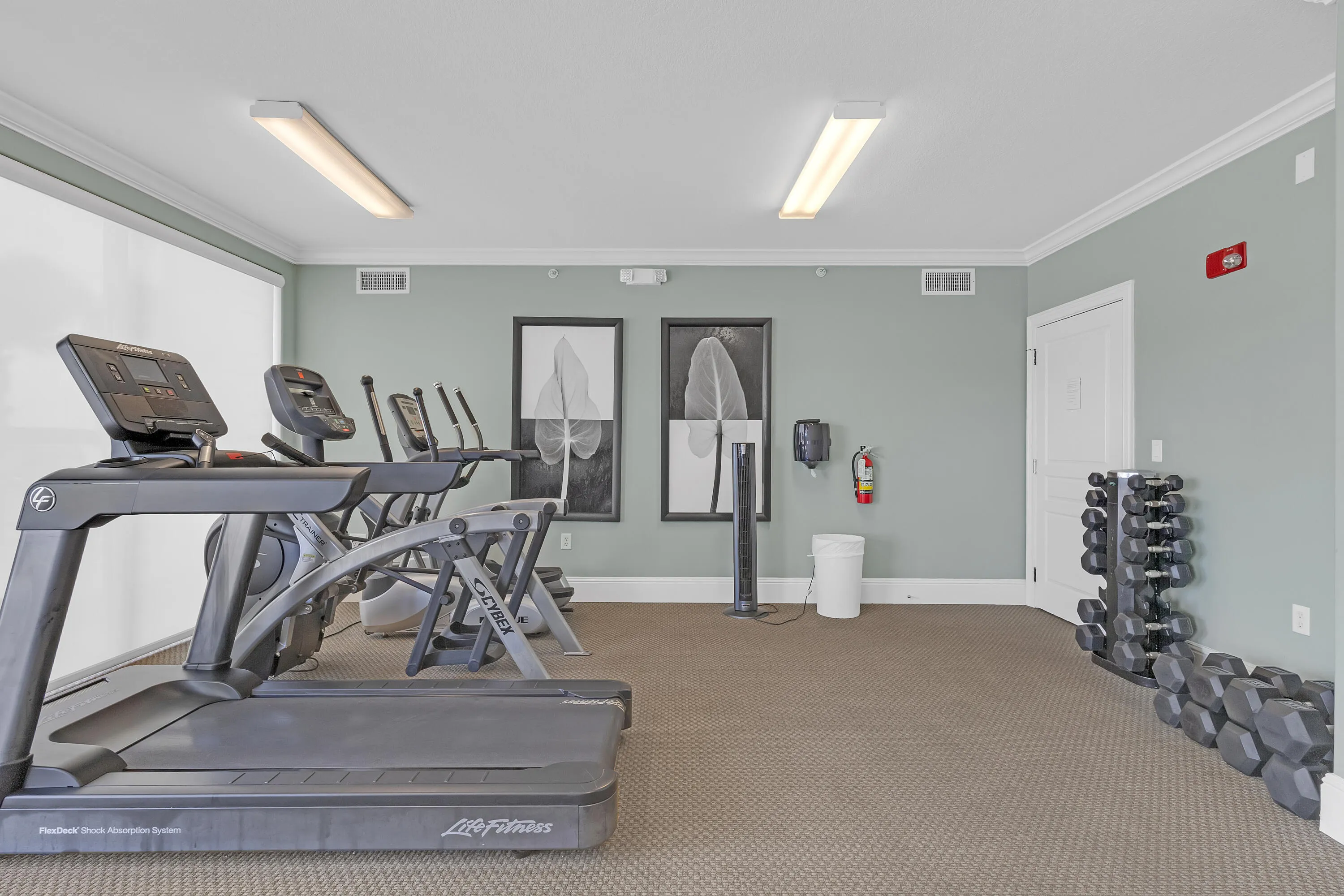 Property photo 43
