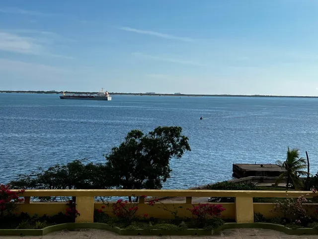 THE VIEW