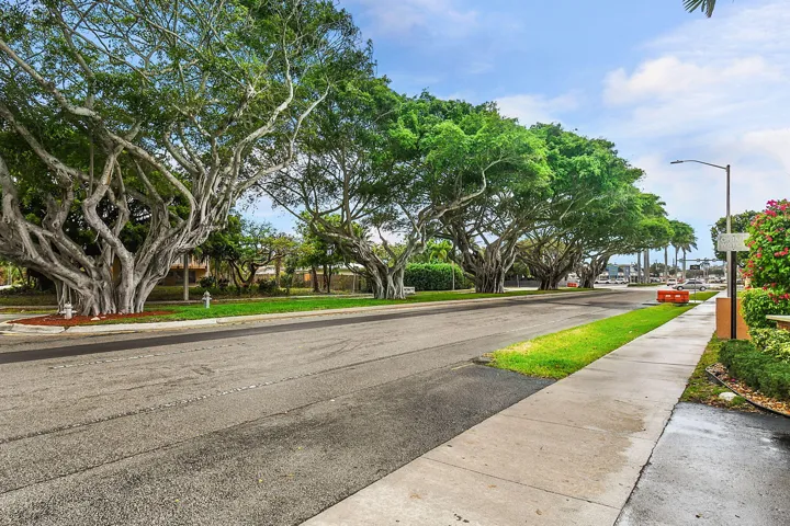 30-web-or-mls-500_8930