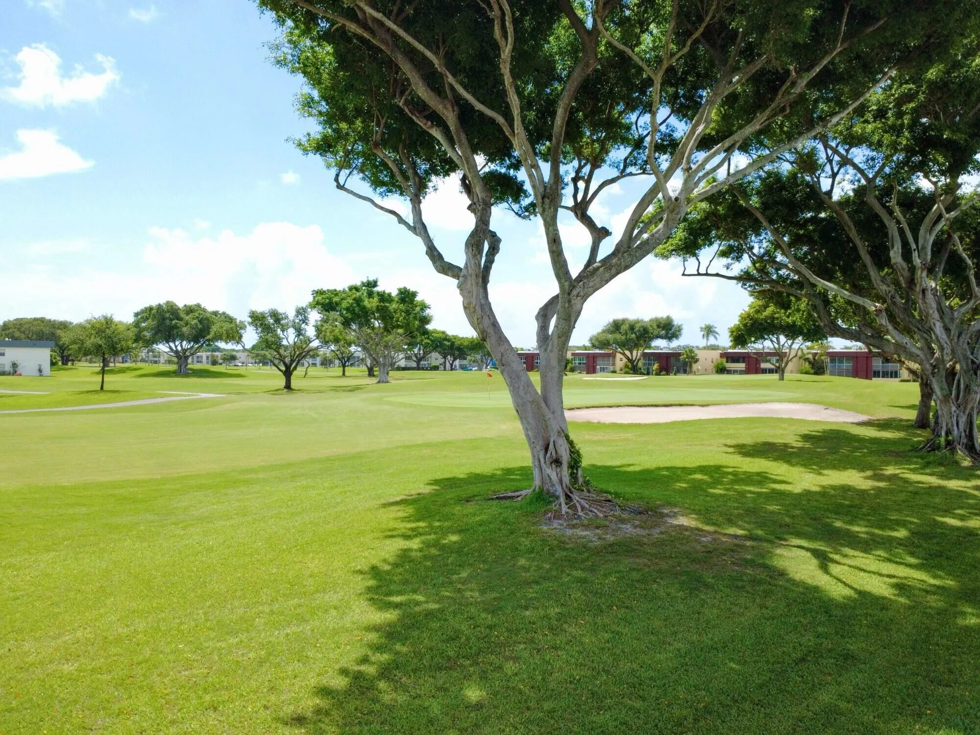 Golf Course