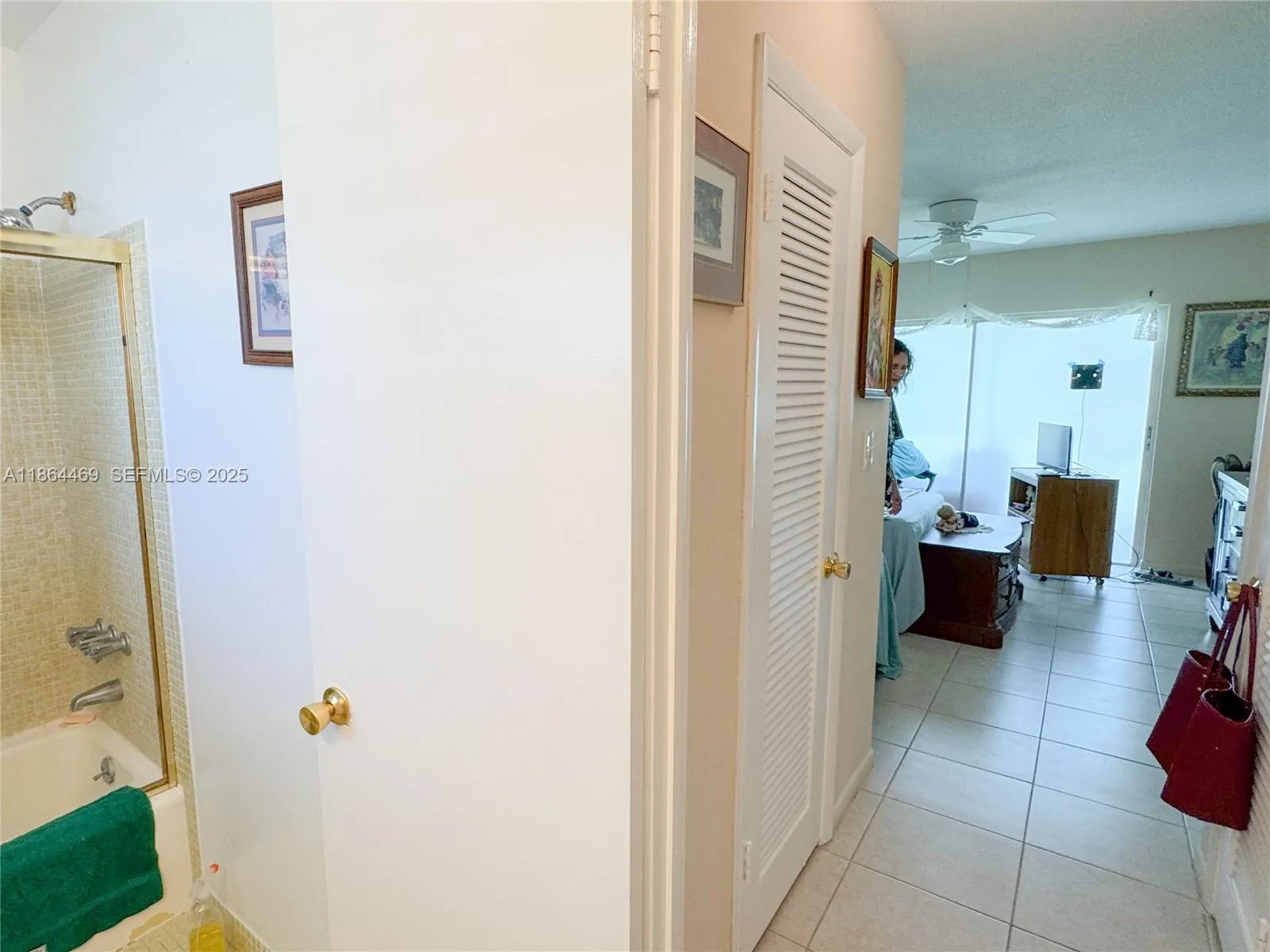 Hall between Bathroom and Bedroom
