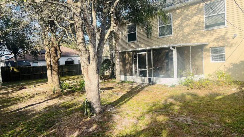 Backyard