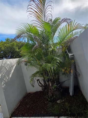 front yard