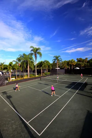 Tennis ladies P