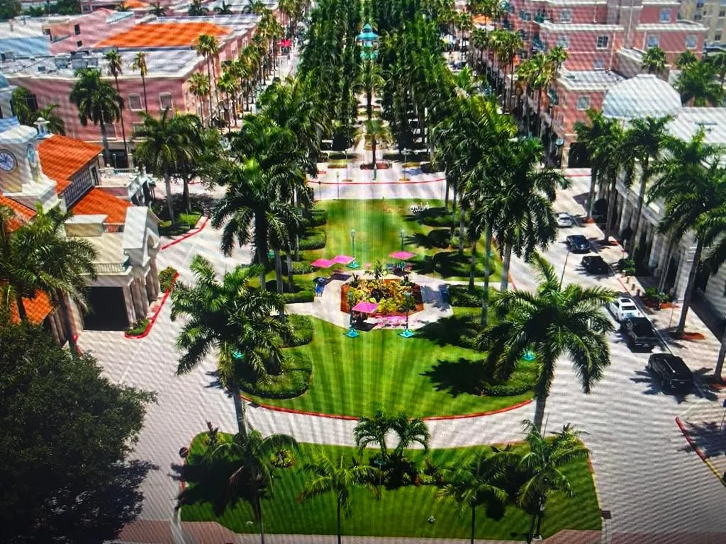 NEAR MIZNER