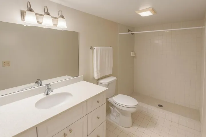 Bathroom Guest