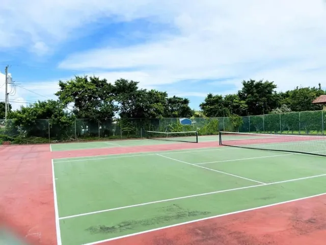 Tenis Court